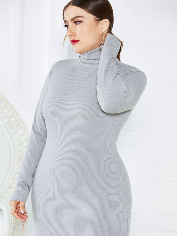 Women's Solid Color Plus Size Turtleneck Long Sleeve Curves Dress